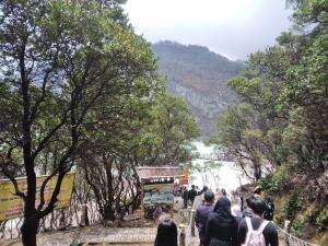 Kawah putih 