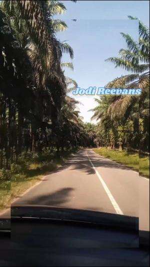#melewati perkebunan Nusantara