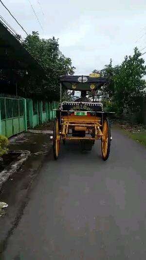 Dokar #dokar #andong #jogjaistimewa #asaljogja 