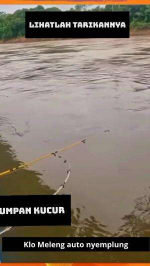 mancing baung  #mancing  #wildfishing  #RCTIPlus  #HOTrctiplus  #RCTIoke 