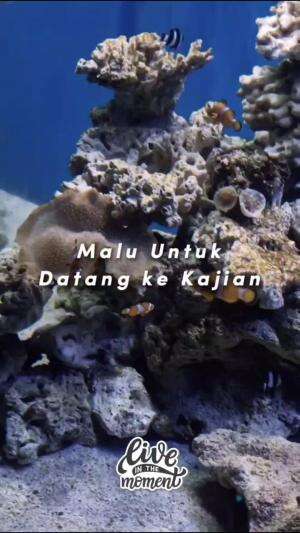 Malu untuk datang kajian? #KajianMinggu