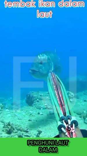 berburu ikan di laut dalam 