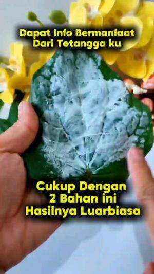 CUKUP DENGAN 2 BAHAN INI, HASILNYA SANGAT LUAR BIASA

#tipsandtrik #tips #trik #tutorial #kreatif #hiburan #inspirasi #inspiratif 