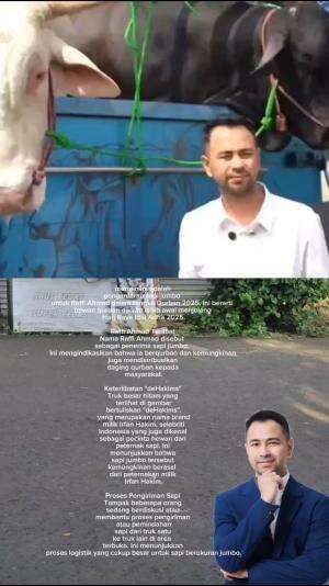 proses penyerahan sapi jumbo untuk kurban kepada Rafi Ahmad  #kurban2025