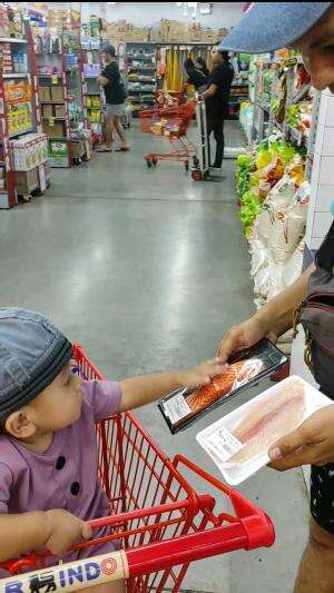 abg itu paling suka makan ikan Salmon #RCTIPlus #HOTrctiplus #rctiofficial 