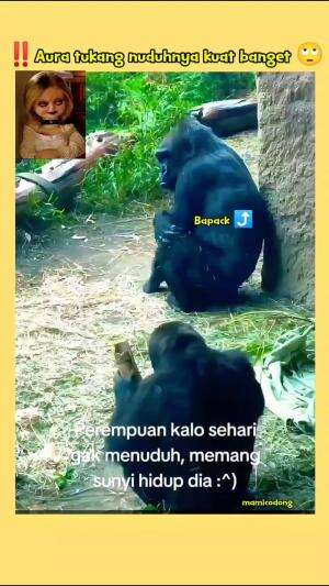 ‼️Aura tukang nuduhnya menyala syekali lurr 🤣  #fyp #funnyanimal 