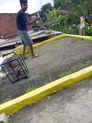 latih merpati baru #merpati#merpatitinggian#pigeon 