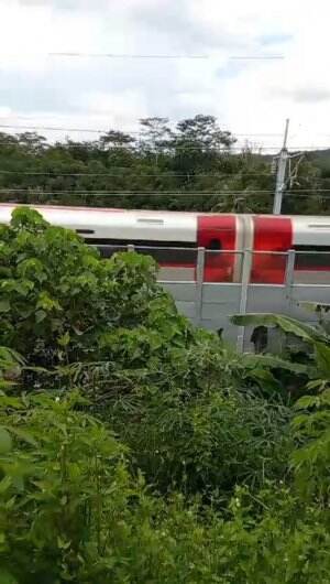 melihat kecepatan kereta cepat jakarta-bandung dari dekat  #kereta cepat #jokowi #prabowo