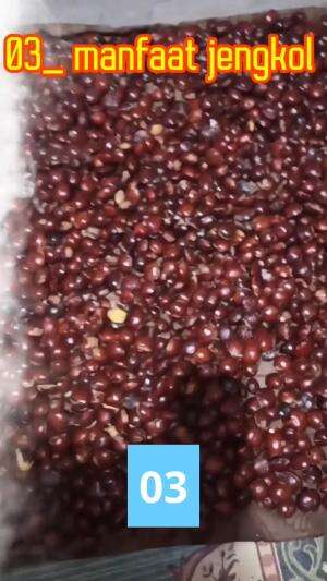 MANFAAT JENGKOL BAG.3
 #jengkol
 #jering
 #jaring
 #msnffstjenhkol
