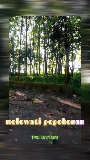 #melewati pepohonan