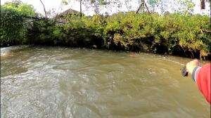 Misi penyelamatan ikan tenggelam #microfishing #mancing 