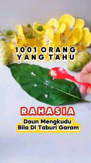 DAUN MENGKUDU DITABURI GARAM

#tipsandtrik #tips #trik #tutorial #kreatif #hiburan #inspirasi #inspiratif 