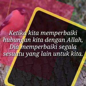 PERBAIKILAH HUBUNGAN KITA DENGAN ALLAH 
#motivasiislam #nasihat #islam #motivasi #nasihatkehidupan #quotesislam