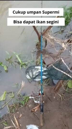 Supermi bawa hoki
 #mancing #casting #umpanjitu #umpanmancing  #RCTIPlus 