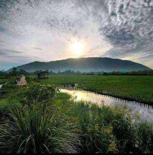 gunung senujuh sambas
 #shortplus #Viral