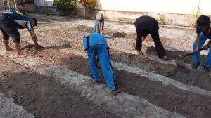 proses pembuatan bedengan untuk menanam sayur kegiatan P5 siswa  #P5 #siswa 