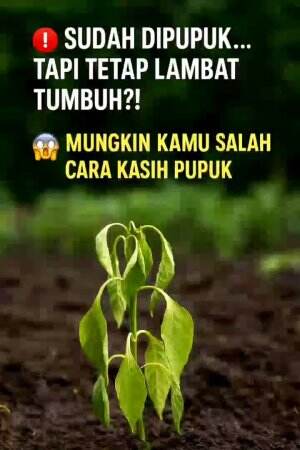 #edukasi #fyp #fypシ゚viral #trending #foryou #RCTIPlus #HOTrctiplus 