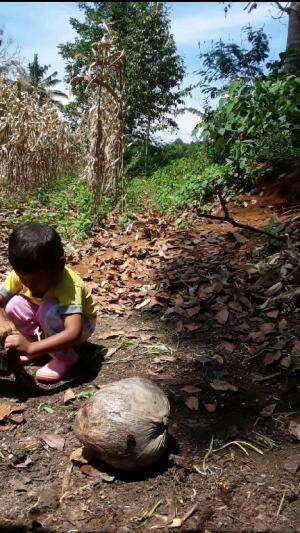 sedang buat jalan keladang