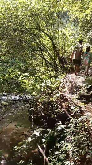 Serunya Tracking Coban Di Benjor Part 29
#jalan #benjor #setapak #coban #cinde #sanusi #cakra #srikandi #ngalam