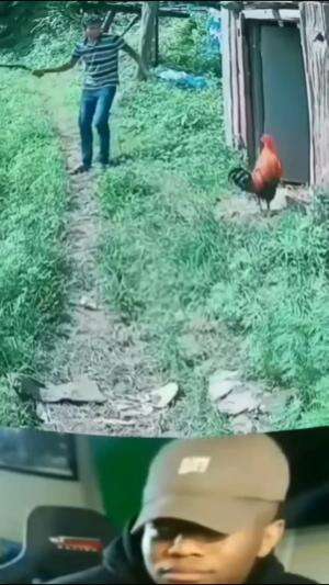 lucu bikin ngakak 
 #funnyvideo  #Funny Football  #videolucu 