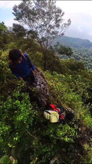 Jalur liar gunung Ringgit Situbondo

 #gunungringgit
#jalursunyi
#jalurliar
#situbondo
#pendakifomo 