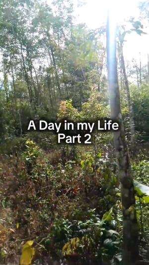 A day in my Life , Pemuda di Desa #adayinmylife #petaniberdasi  #Petani milenial yang pro tuh kayak gini 