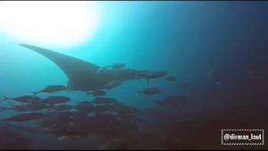 keindahan laut raja Ampat 