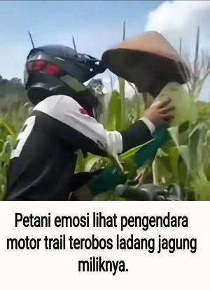 Petani emosi lihat pengendara motor trail terobos ladang jagung miliknya.