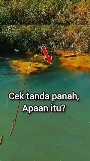 Aneh Tapi Nyata
 #news  #viral  #beranda