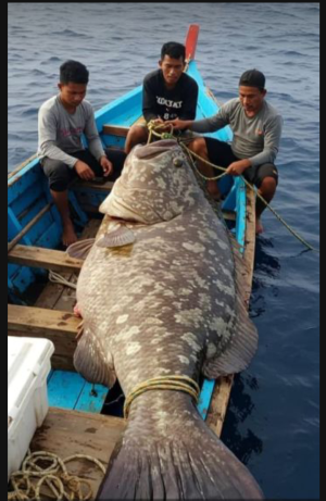 Mancing  #fishing