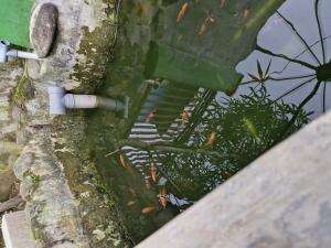 Mancing Mania Mantap 😁😁😁