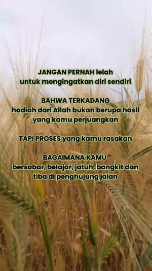  #katkata  #motivasi  #katabijak 