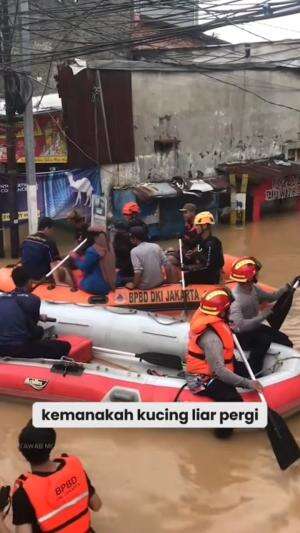Ngungsi kemana yaa itu pada meong?  #banjir 