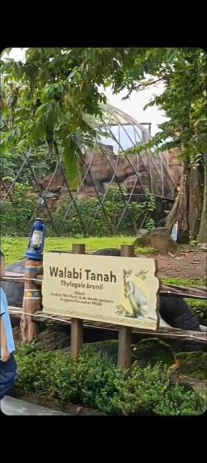 liburan ku lihat kesini aja
#RCTIPlus #HOTrctiplus 