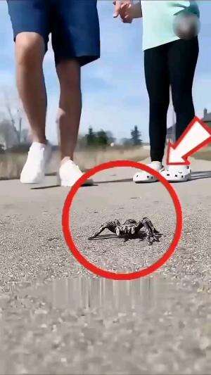 #dewinurjanah #RCTISuperapps #RCTIPlus #HOTrctiplus #hiburan