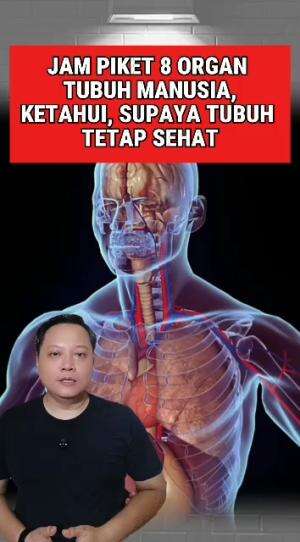 inilah waktu prima fungsi 8 organ tubuh manusia #organtubuh #faktamenarik 