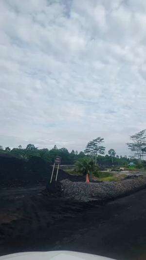 JALAN JALAN 
 #batubara

