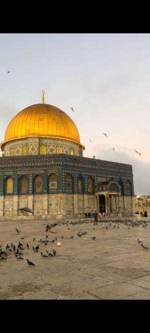 Masjid Al Aqsa  #Beautiful  #RCTIPlus  #shortplus 