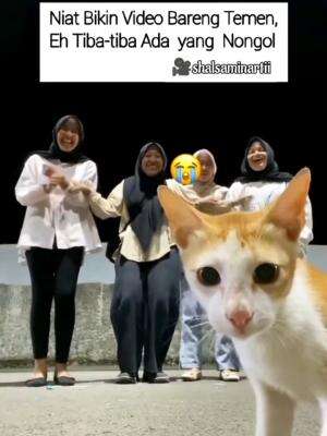 kemunculan makhluk halus lucu, ternyata kucing 😭😂🤣 #RCTIPlus  #HOTrctiplus #RCTIoke #videolucu 