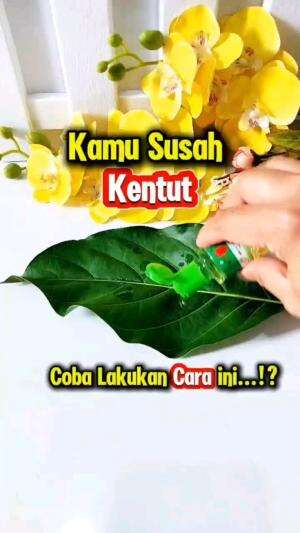 KAMU SUSAH KENTUT, INI SOLUSI

#tipsandtrik #tips #trik #tutorial #kreatif #hiburan #inspirasi #inspiratif 