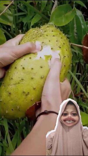 buah berduri tajam 