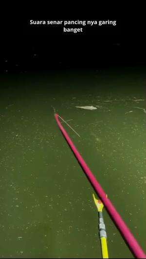 dengerin suara senar pancing nya  #mancing  #wildfishing  #RCTIPlus  #HOTrctiplus  #RCTIoke 