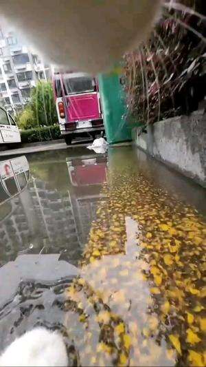 CAM ON CAT

#kucinglucu #kucingoyen #catlovers #pencintakucing #kucinggemoy #kucinggemes #sahabarkucing