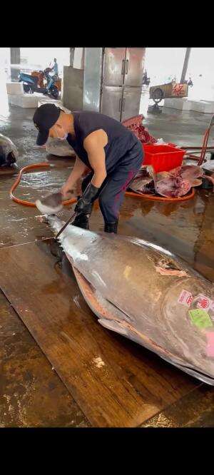 Tuna Cutting Skill  #tuna  #cutting  #RCTIPlus #short 