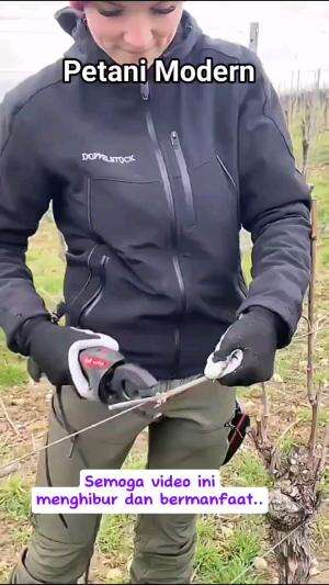 PETANI MODERN