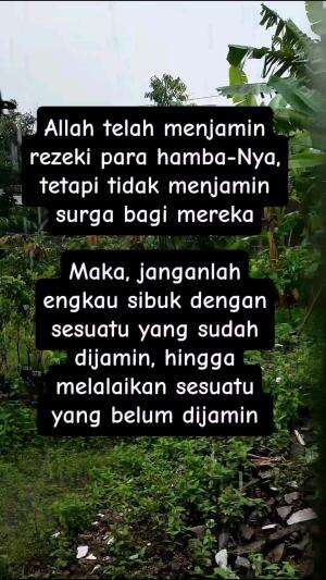halo semuanyaa... 