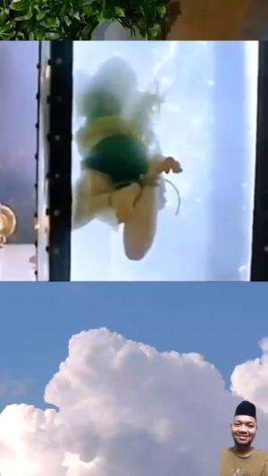 Maaf lama gak upload