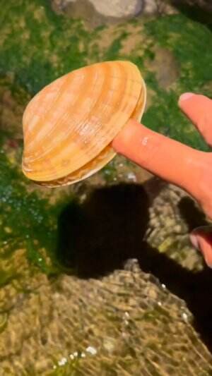 Jari tangan orang ini digigit kerang
.
#laut
#kerang
#rctiplus