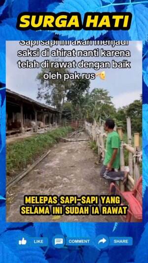 Juragan sapi ini hanya bisa termenung, saat melihat sapi-sapi peliharaannya sebentar lagi akan dikurbankan.
