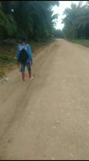when on the jungle